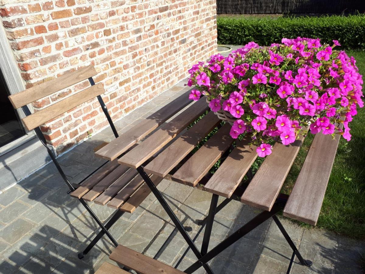B&B 'T Hoveke Wingene Bagian luar foto