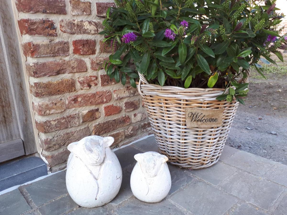 B&B 'T Hoveke Wingene Bagian luar foto