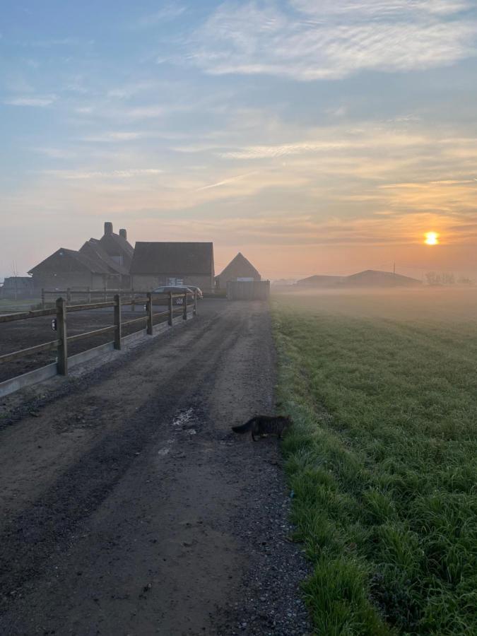 B&B 'T Hoveke Wingene Bagian luar foto